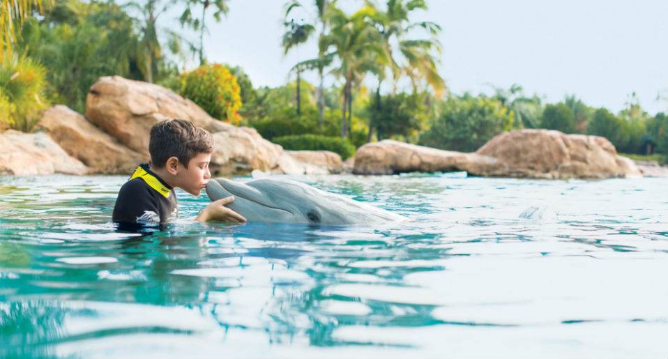 discovery-cove-all-inclusive
